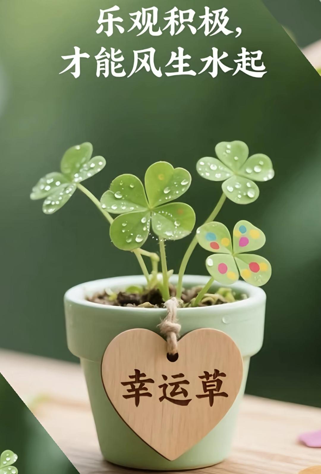 乐观生水起，好运常相伴。过好平淡的生活，简单就是快乐，健康就是幸福。祝我们以后风