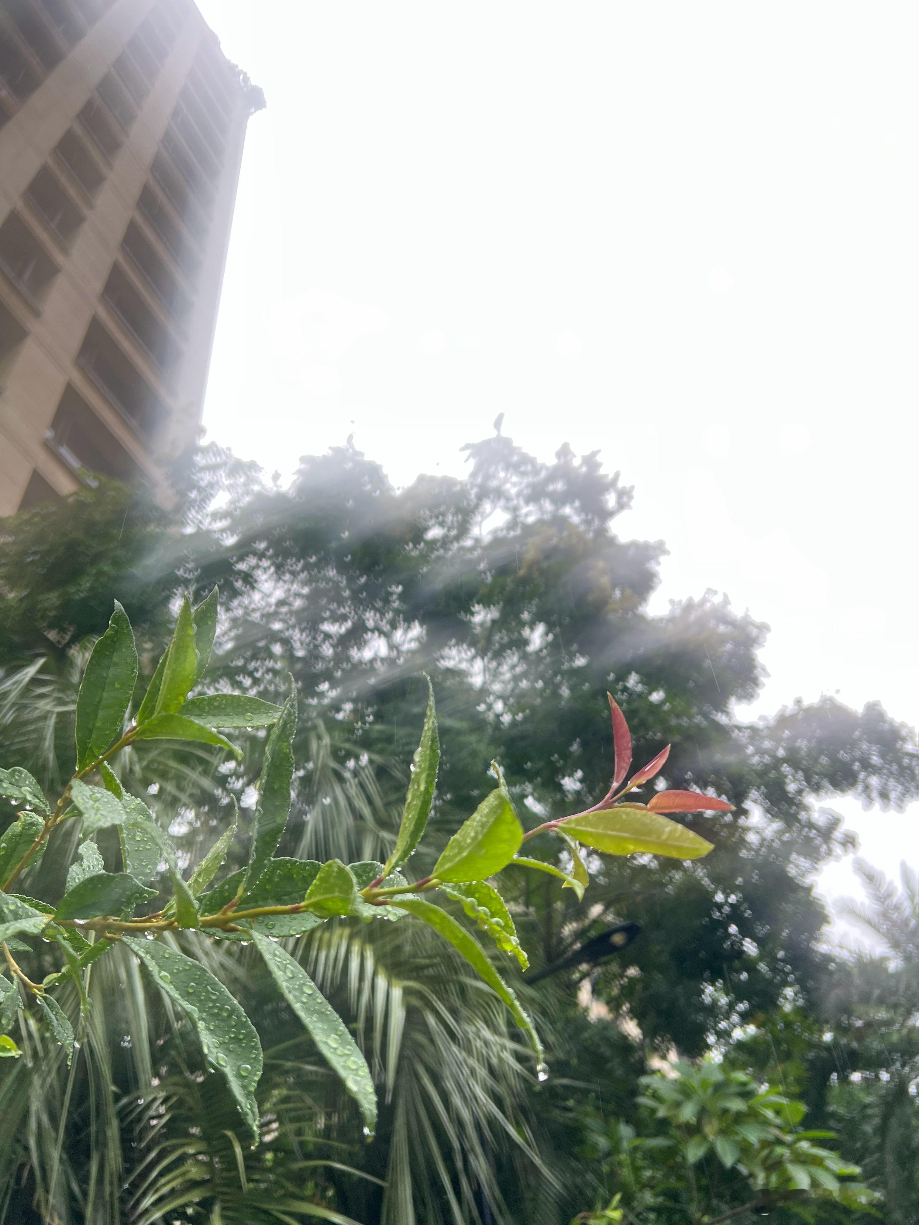 台风天，雨不大，跑个步是可以的 ​​​