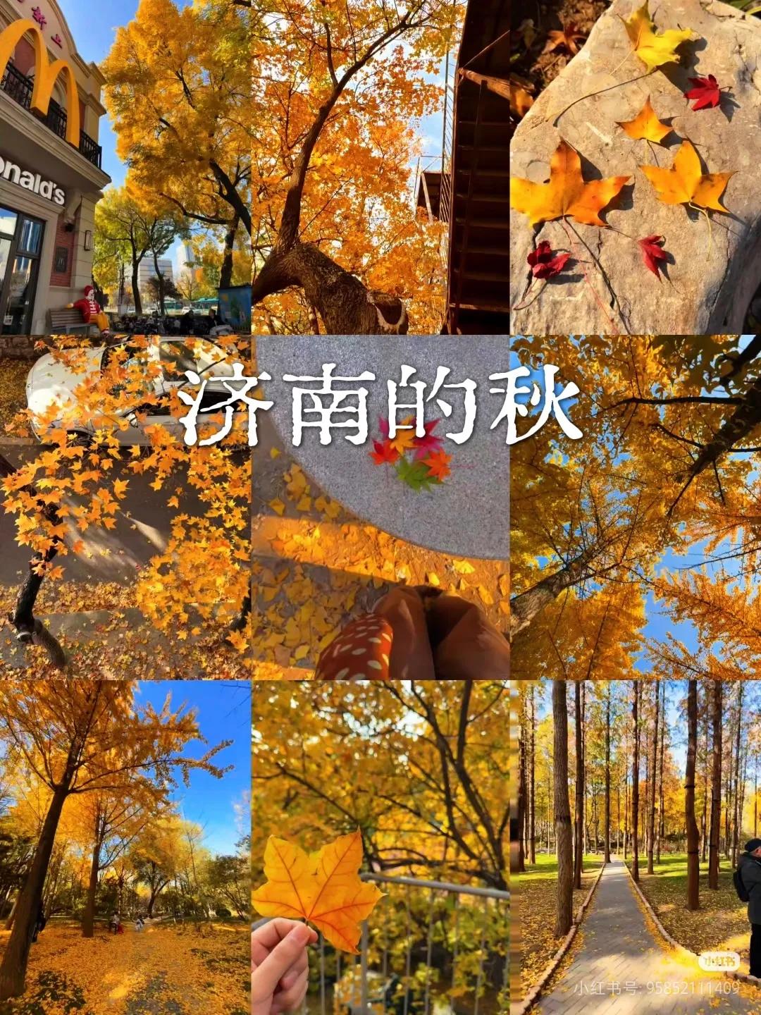晒图笔记大赛亲爱的头条为什么能抓住创造者的心一不论你是风华正茂的少年还是白发苍苍