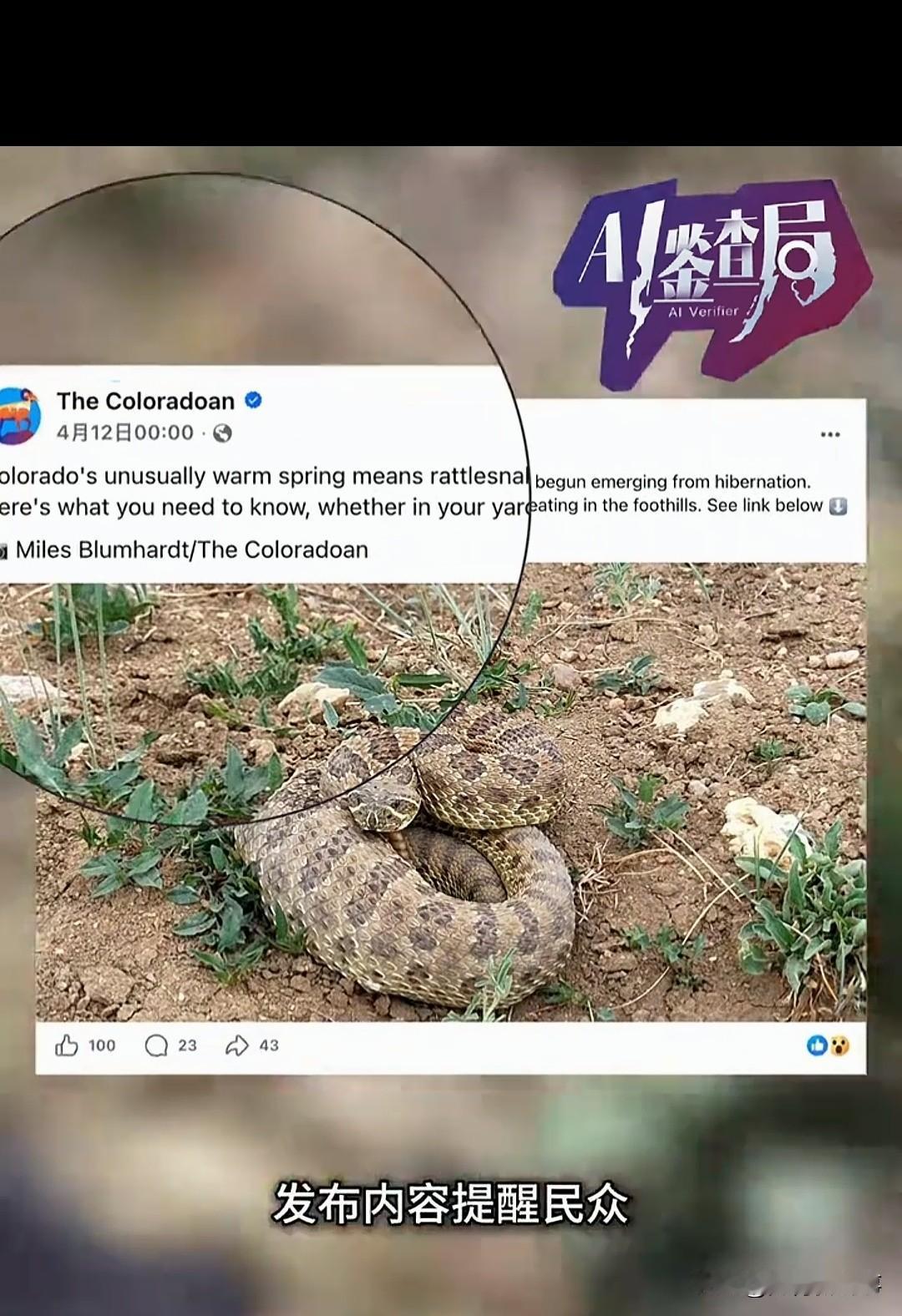女子找AI要徒步路线，被直接送进了响尾蛇老窝。

全程三次与死神擦肩而过，她却全
