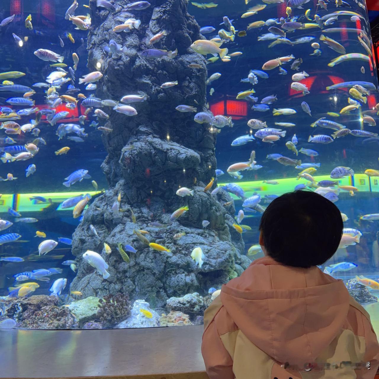 纠结了很久，终于做了这个决定：从明天开始，不再时时刻刻盯着后台数据了。

往后的