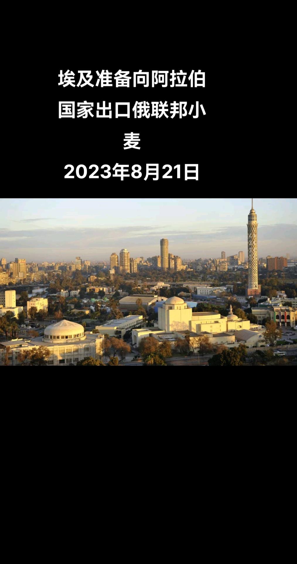 俄罗斯卫星通讯社多哈8月21日电 据埃及供应部商品供应总局证实，如果莫斯科在苏伊