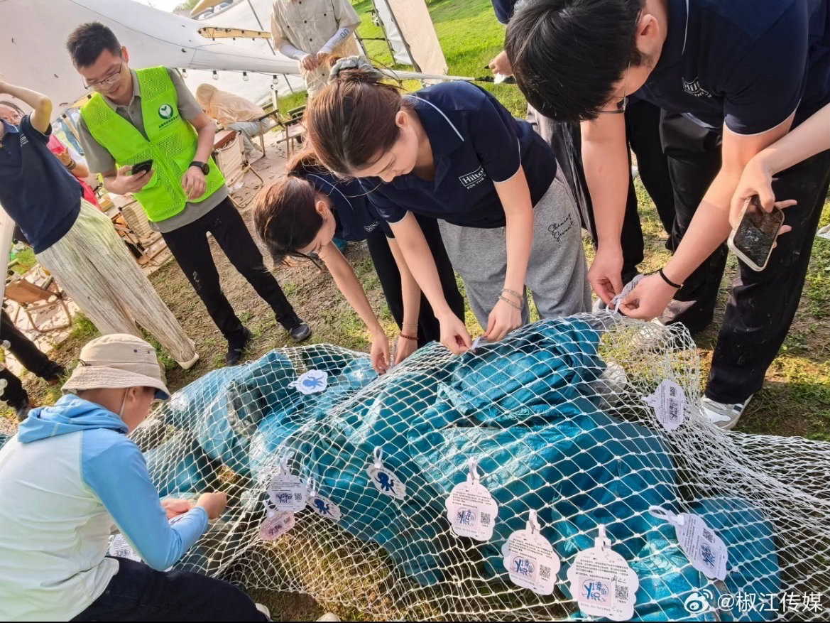 台州一群人6年初心不改守护一条海岸线台州椒江“红蓝环”志愿服务项目入选全国志愿优