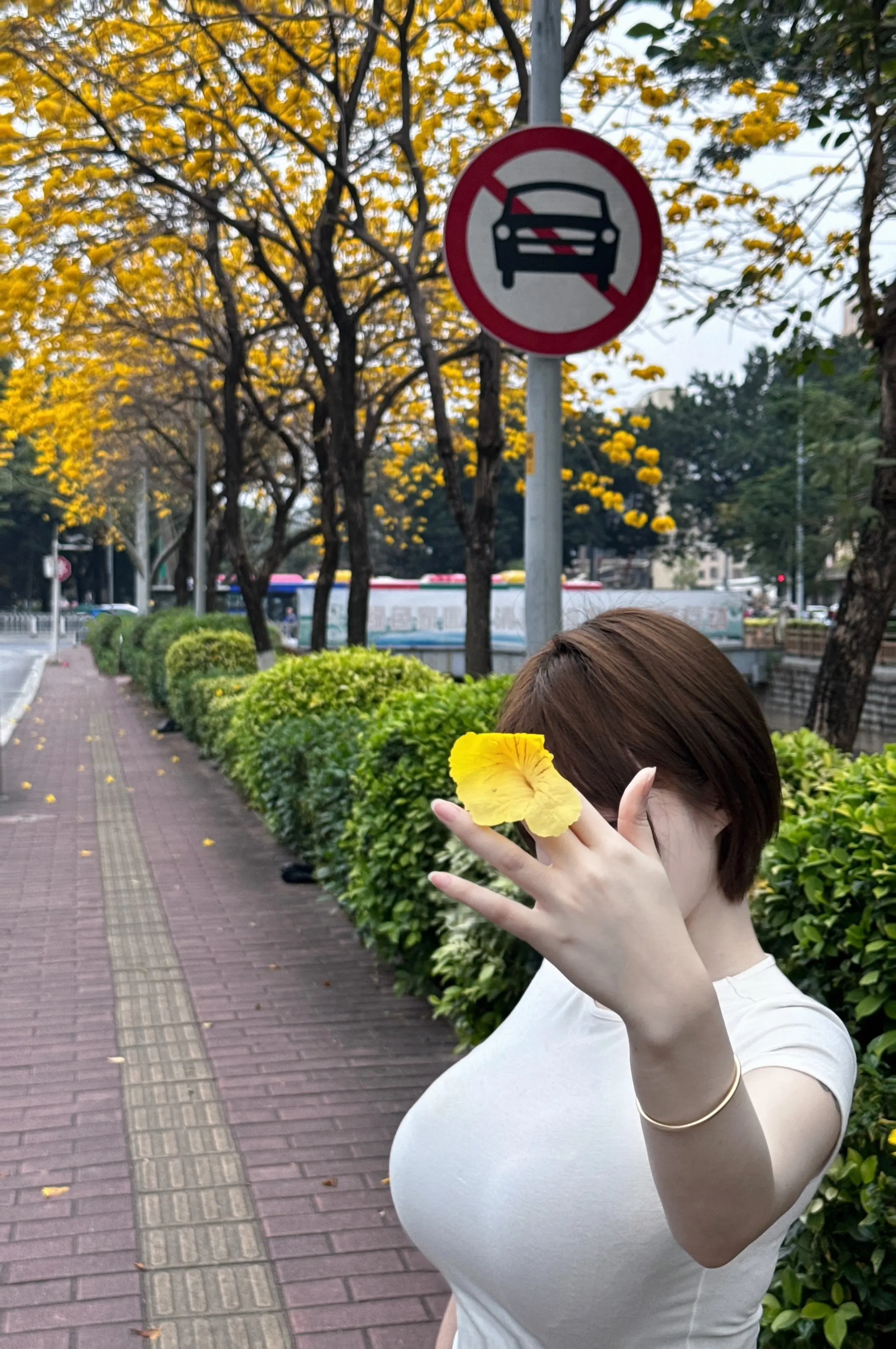 春天了。