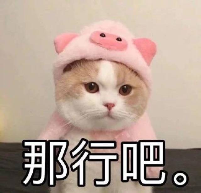 真是服了AI，明明给的图只有蓝忘机手臂受伤，生出来的视频两个人手臂都受伤了，是嫌