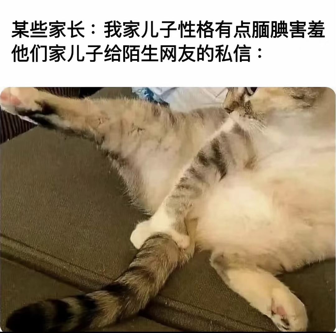 哈哈 