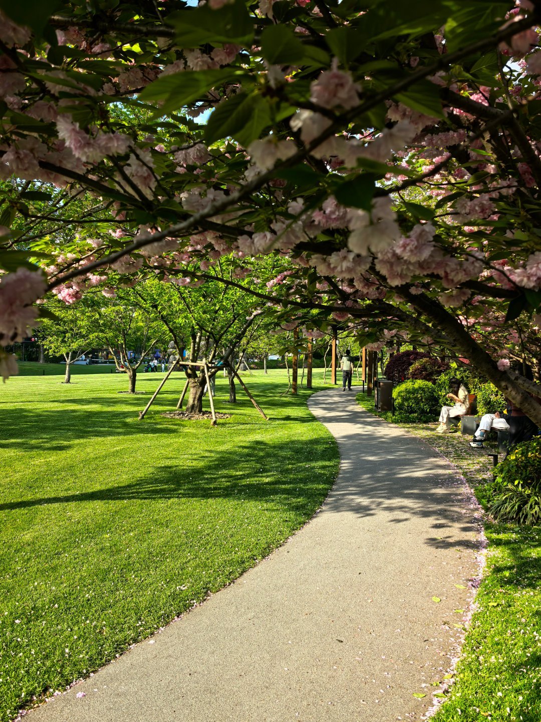 上海的春日，随便一个街角都是很美的。 