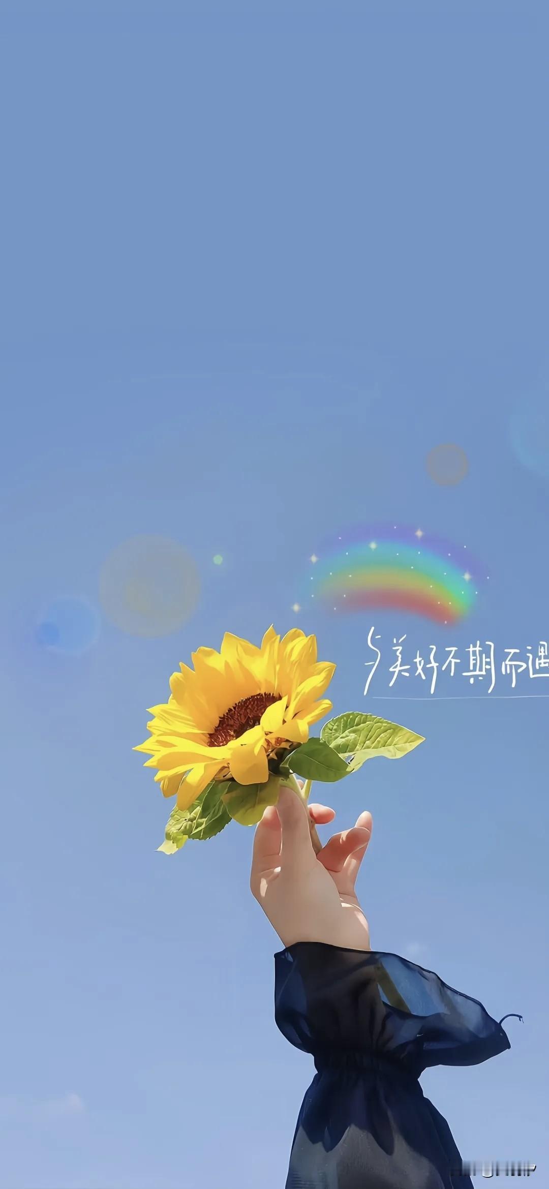 星途双车限时好价