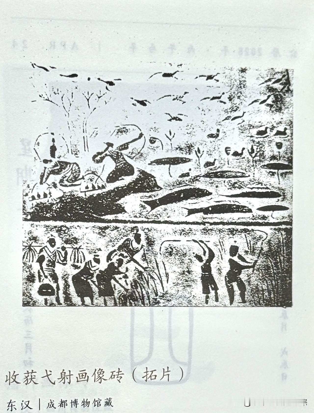 文博每日分享：弋射收获画像砖（也称收获弋射画像砖）。年代：东汉（公元25—220