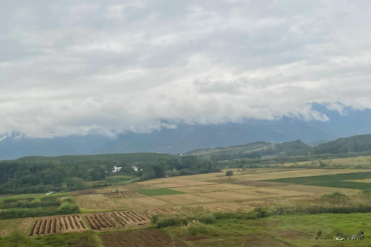 远处不是云层，而是大雾弥漫。天地之间变得格外宁静与神秘