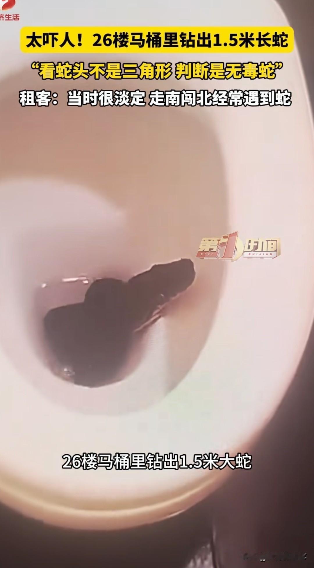太吓人了！！！成都一个租客凌晨起夜，掀开马桶盖的瞬间，和一条1.5米长的蛇四目相