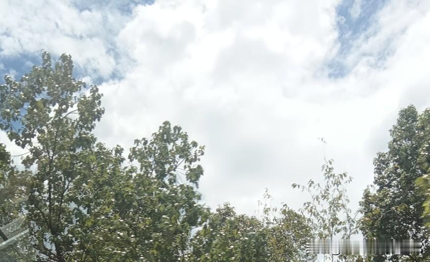不想内耗，冒着暴雨去客户那里把货收回来！这家客户以后再也不合作了！

现在的第三