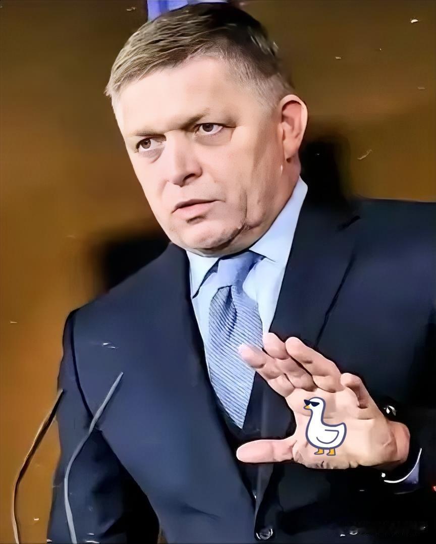 1月27日，斯洛伐克总理菲佐表示:欧盟委员会放弃用俄罗斯天然气的决定是