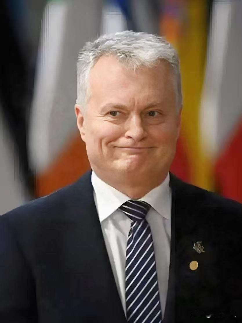 立陶宛开始慌了！
立陶宛总统瑙塞达公开坦言，允许台当局在维尔纽斯设立代表处是“对