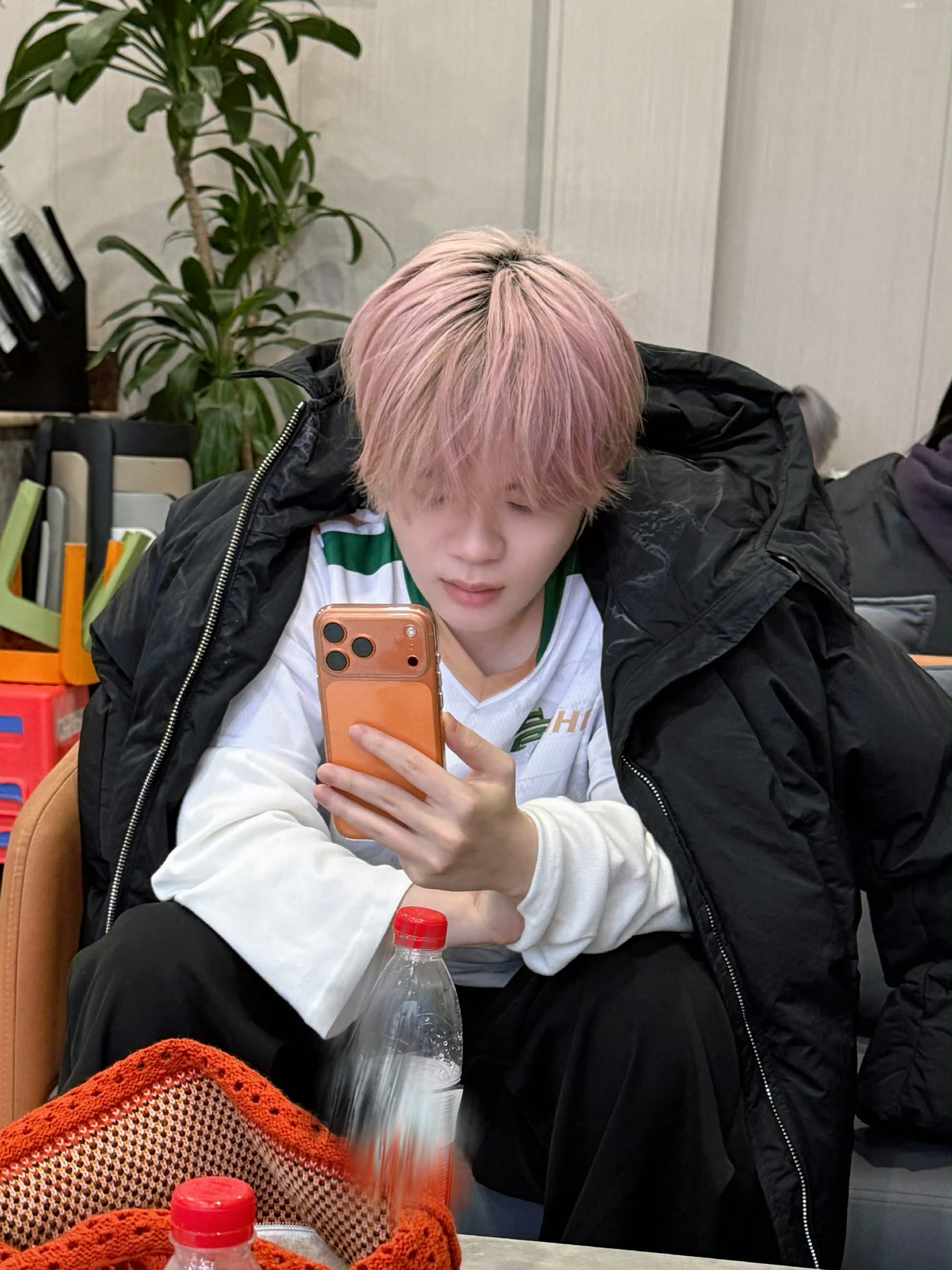 每日鲜诚c  谁家的小粉毛这么可爱2026pel