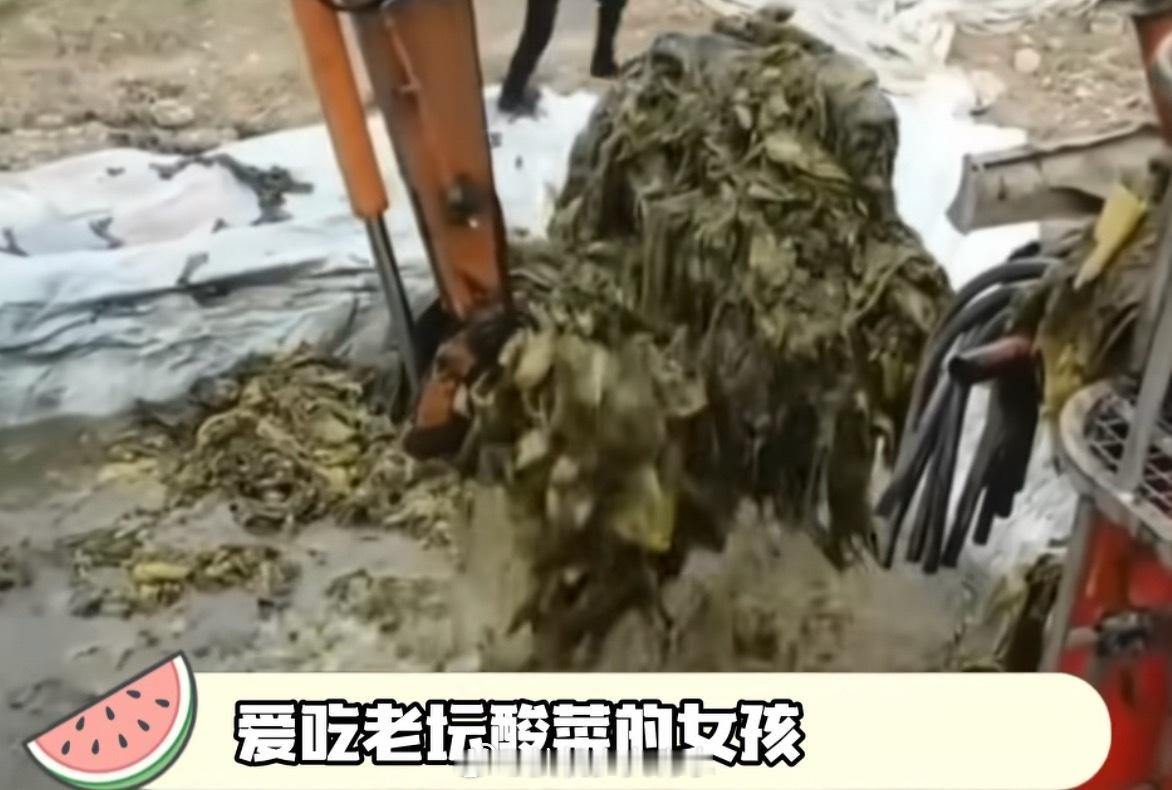 老坛酸菜已经塌无可塌了难怪叫“牢痰酸踩”酸菜只有自己家腌制的最干净 