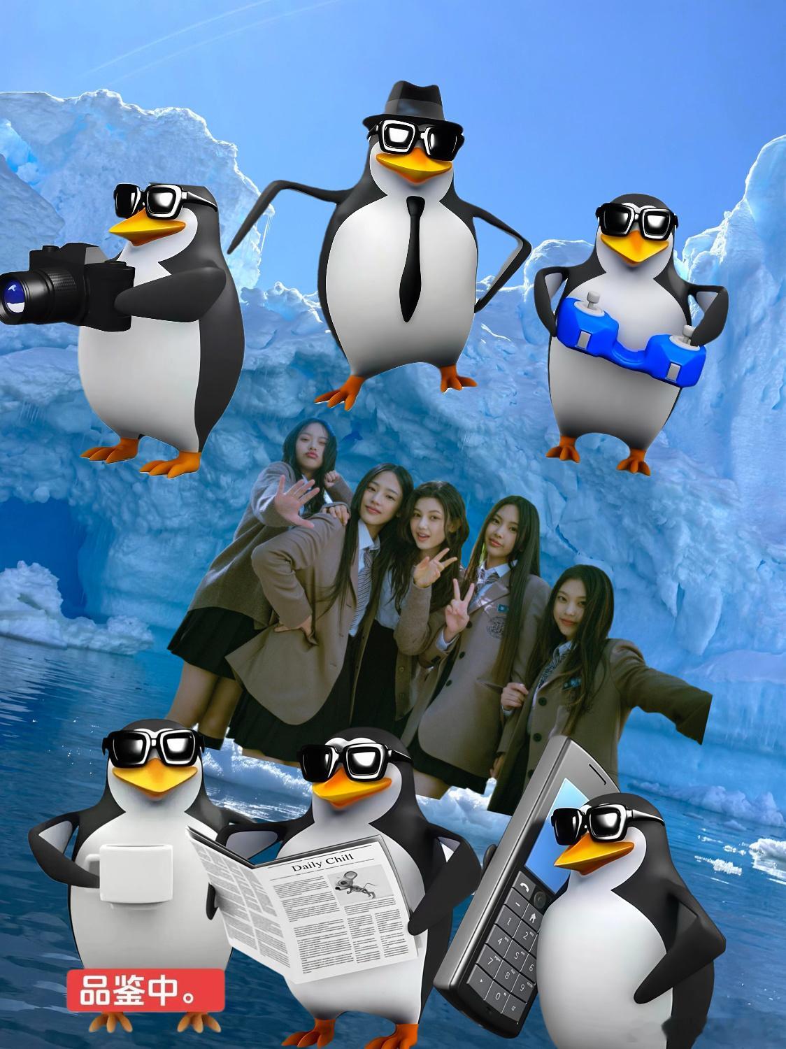 哪个成员在南极 