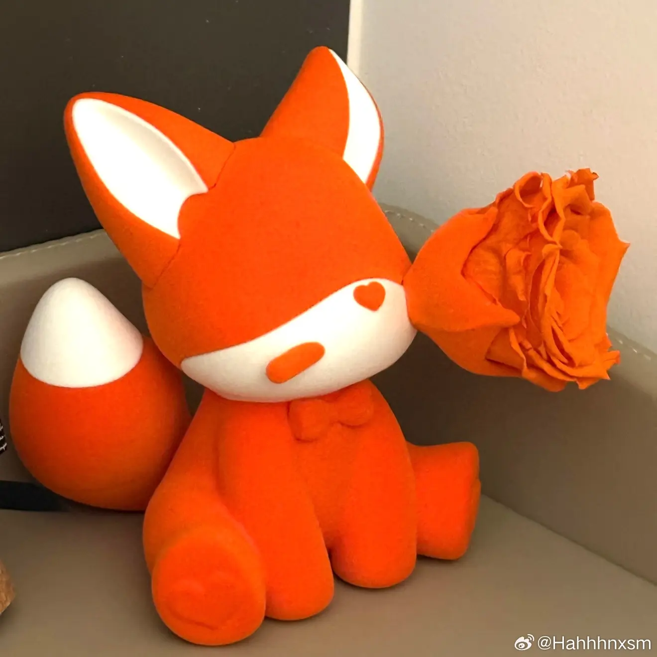 🦊