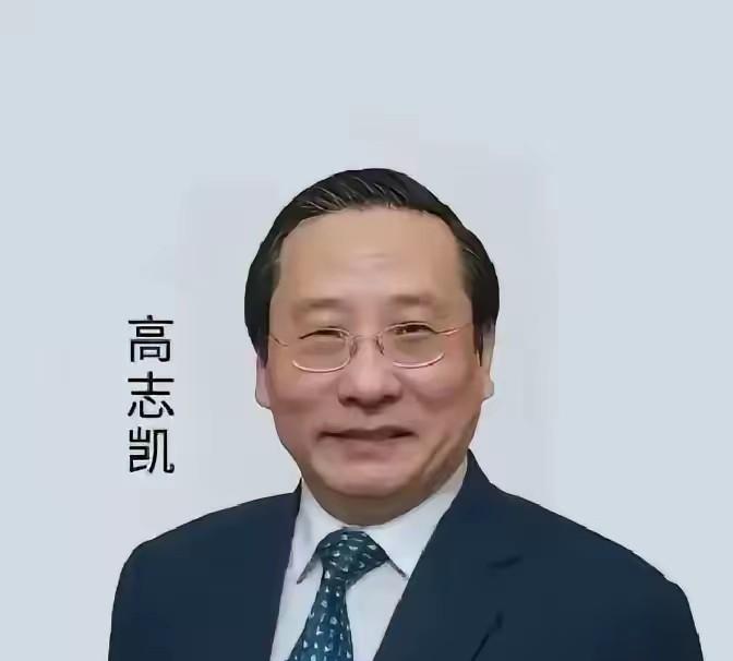 刷完高志凯上澳洲访谈节目的那段回击，掏心窝，简直让人彻底清醒了。

那个澳洲名嘴
