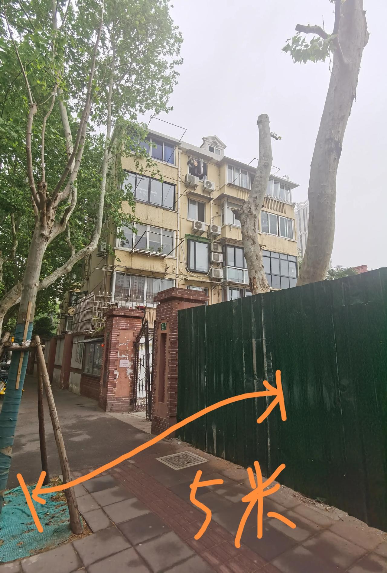 【&】
​新华街道的绿化办
​有奇招，这个距离两棵树都能种活
​有认识这位高人吗