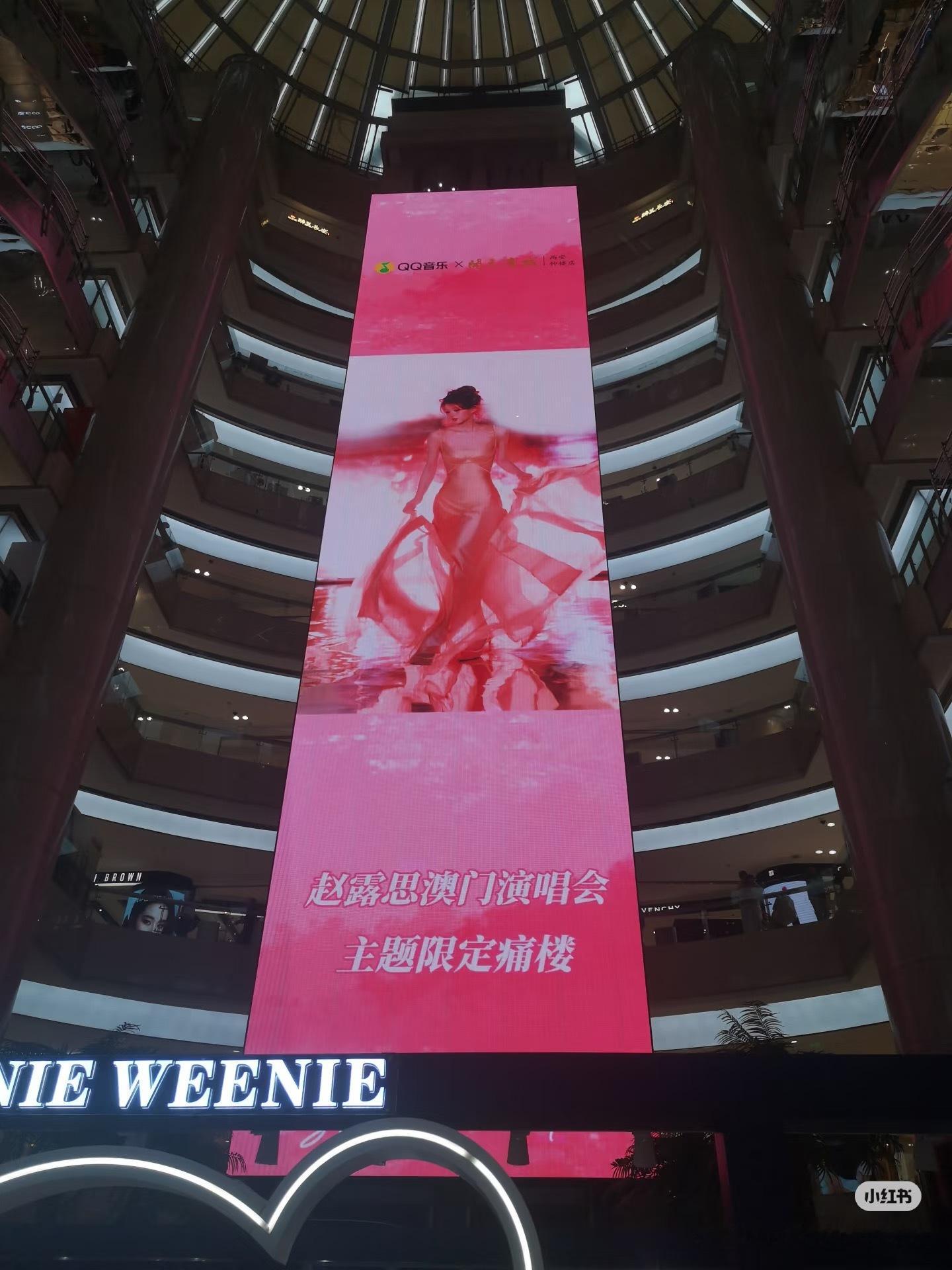 下方还是小熊🤓🥰🤲 