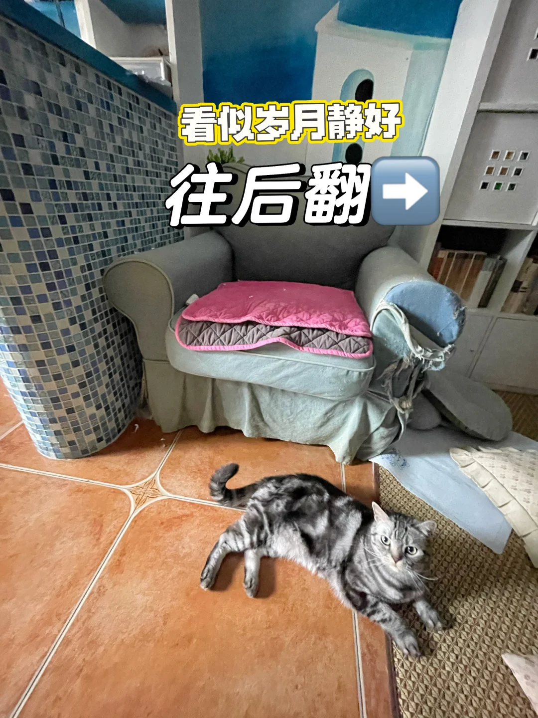 能看出发生了什么吗？