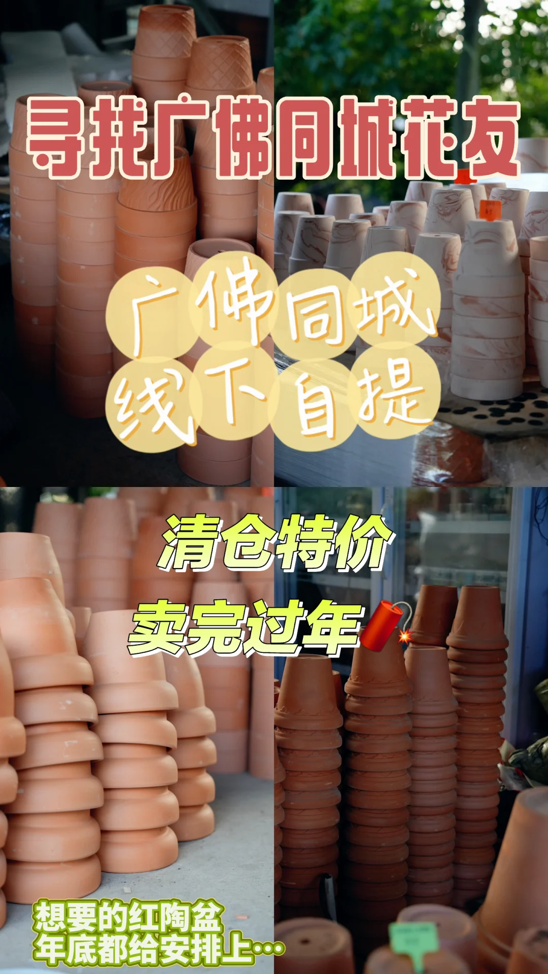 周末了❗️还不来莫莉花园免费领养花花咩❗️