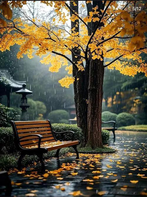 《秋雨中赠元九》
——唐·白居易
不堪红叶青苔地，
又是凉风暮雨天。
莫怪独吟秋