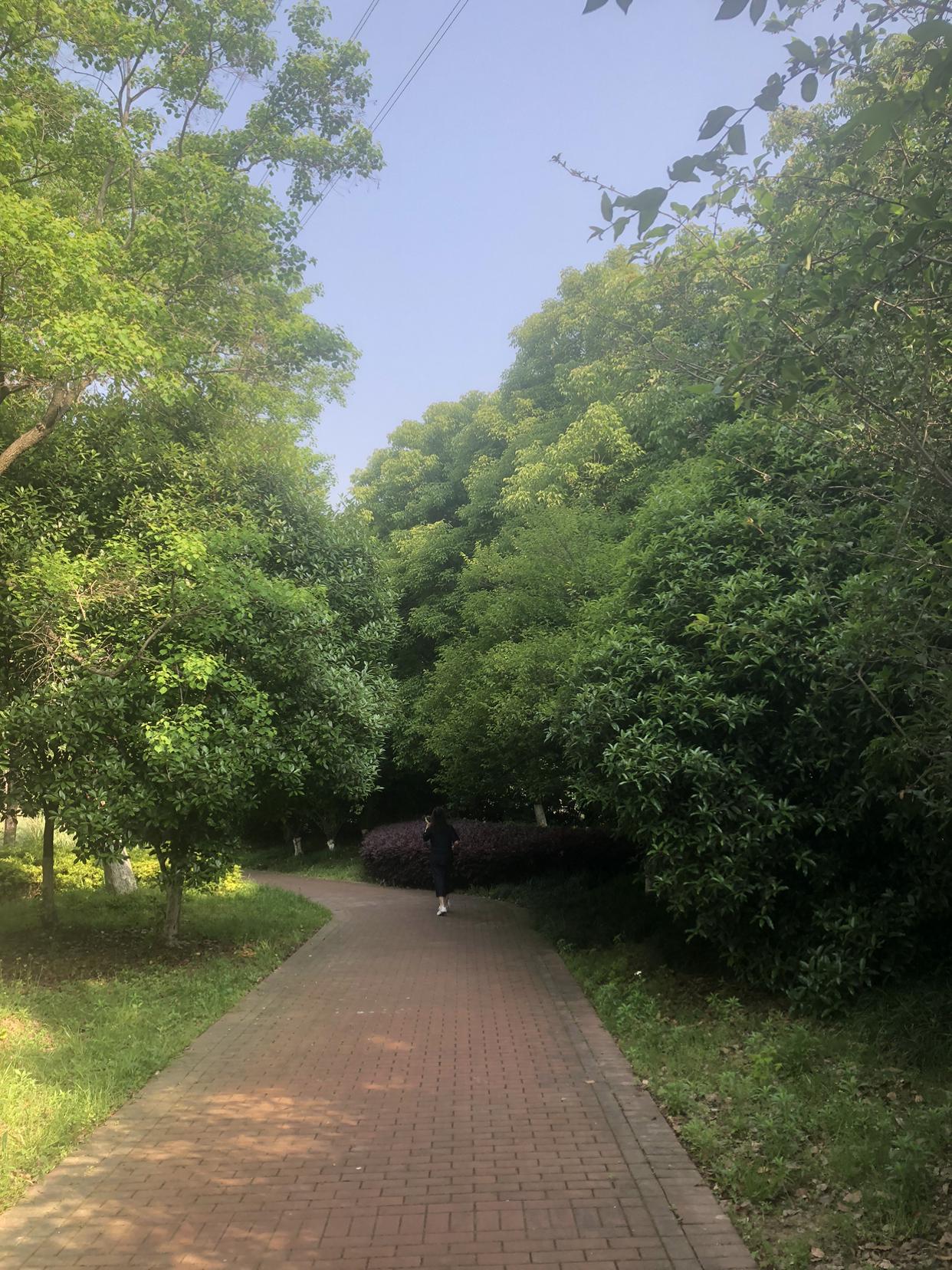 我的今日状态：😁轻松愉快
我这里的天气：☀️晴天
今日常州天气太惬意啦，温度刚