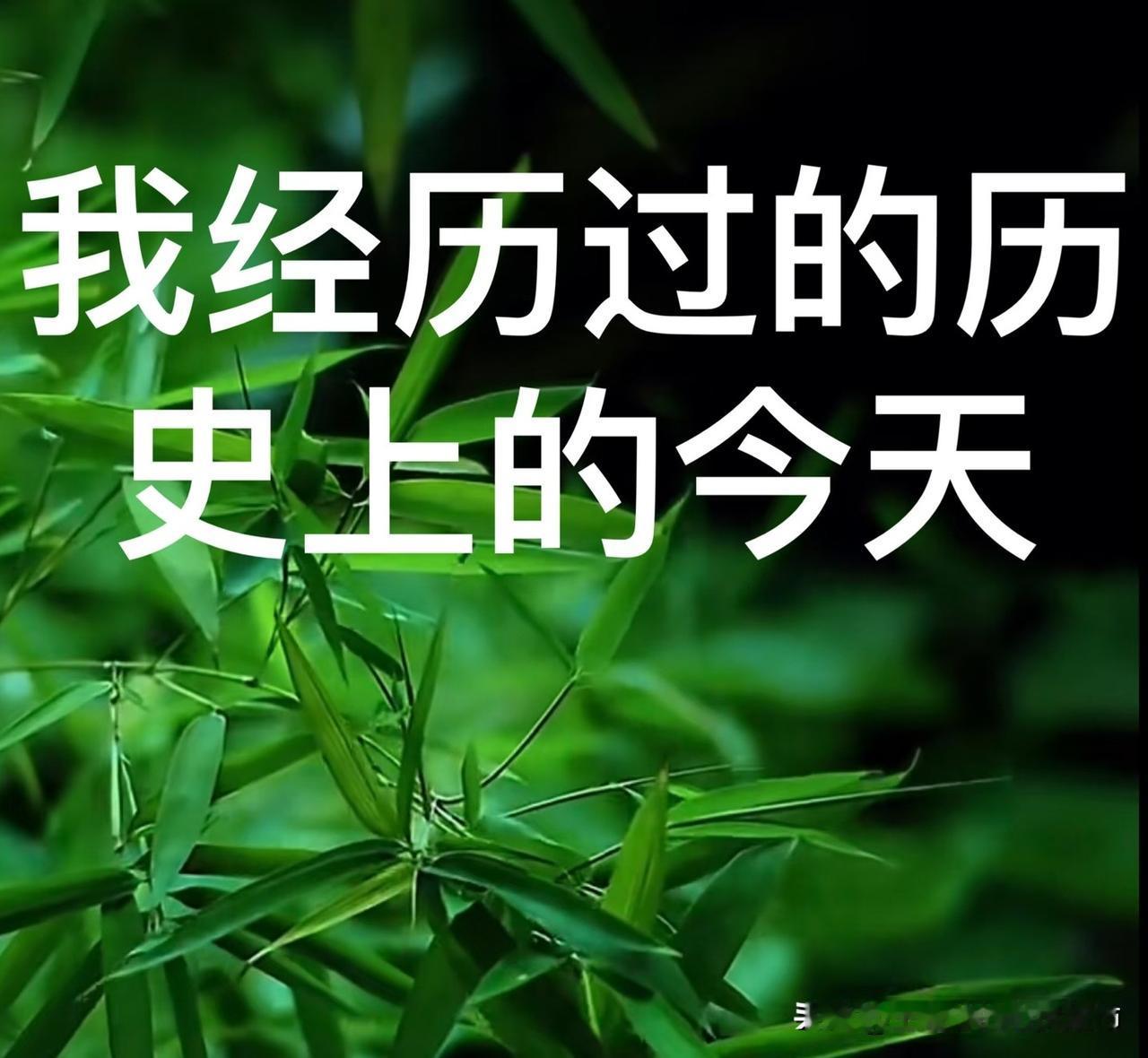 据悉，上海两会期间，有委员提早晚取消中高考，我举双手赞成！既然都在卷，不如彻底不