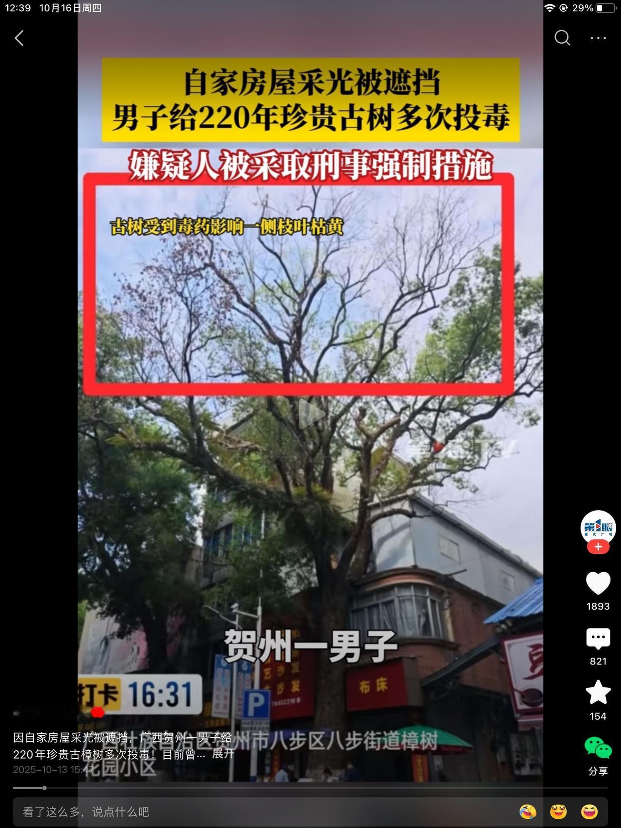因自家采光被古树遮挡，男主给古树投毒，为避免被发现，多次投在古树的透气孔中。事发