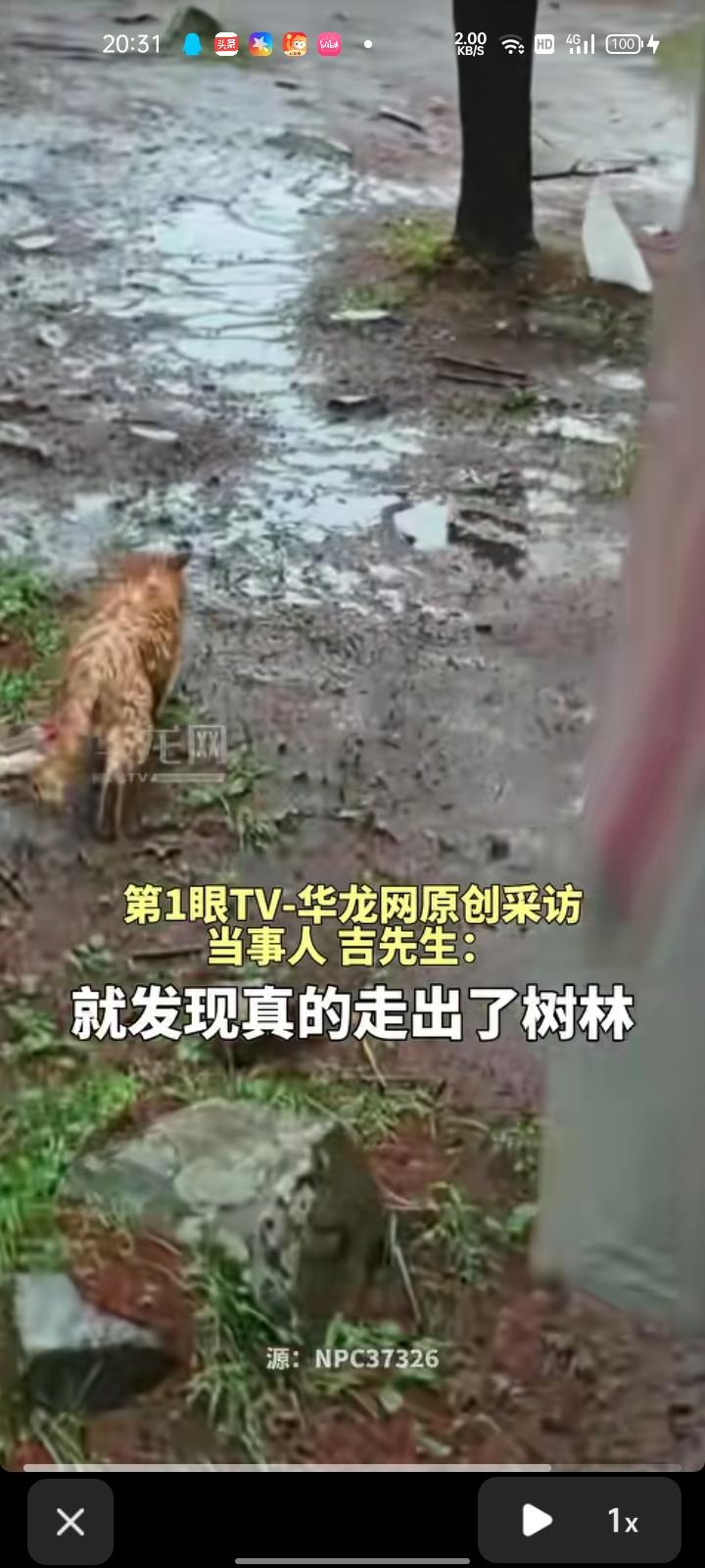 6月21日，山西忻州。男子发视频称，自己和同伴在五台山徒步与队伍走散了，不知道该