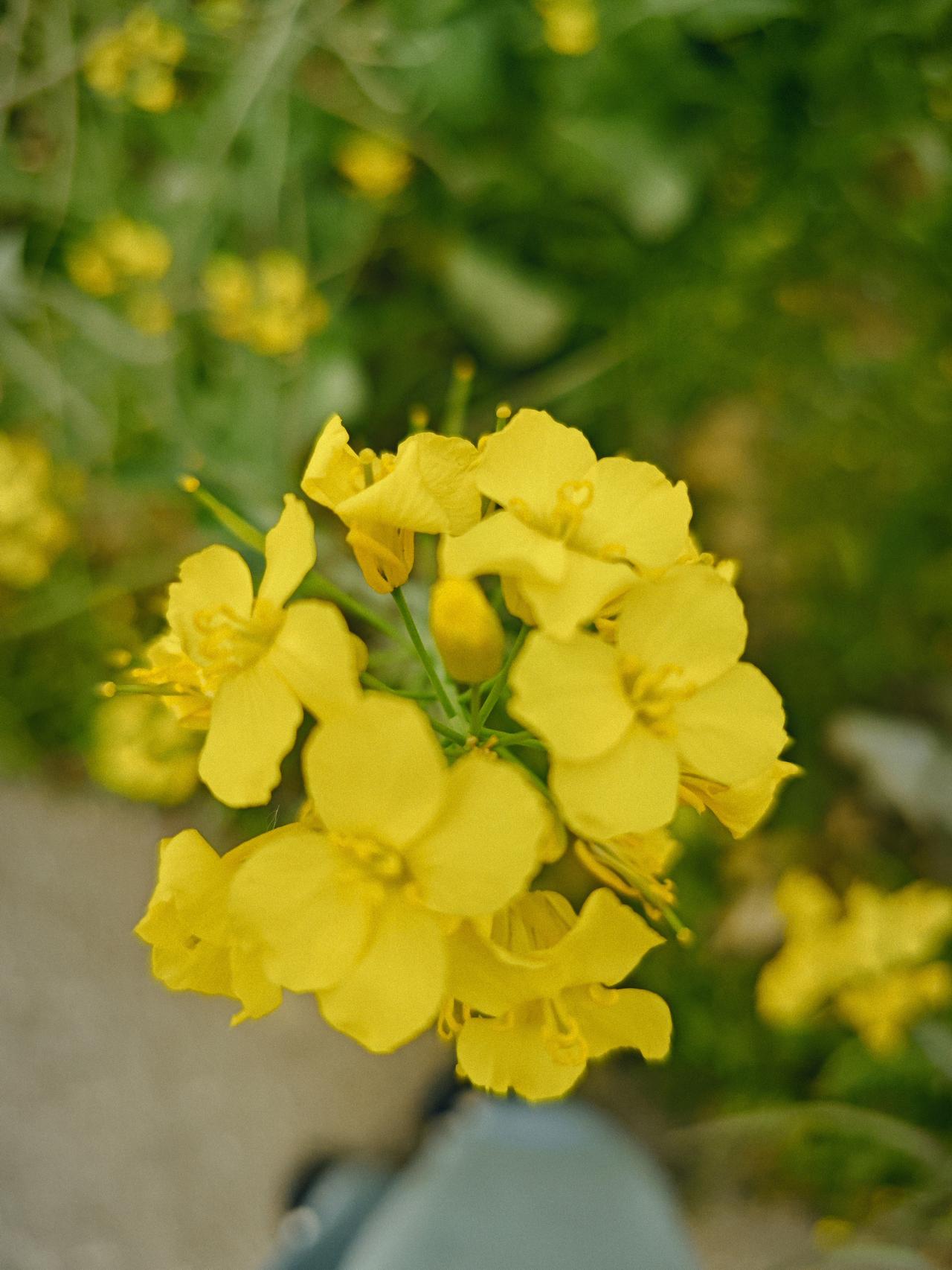 经常安慰自己的一句话是什么不着急慢慢来！都会过去的