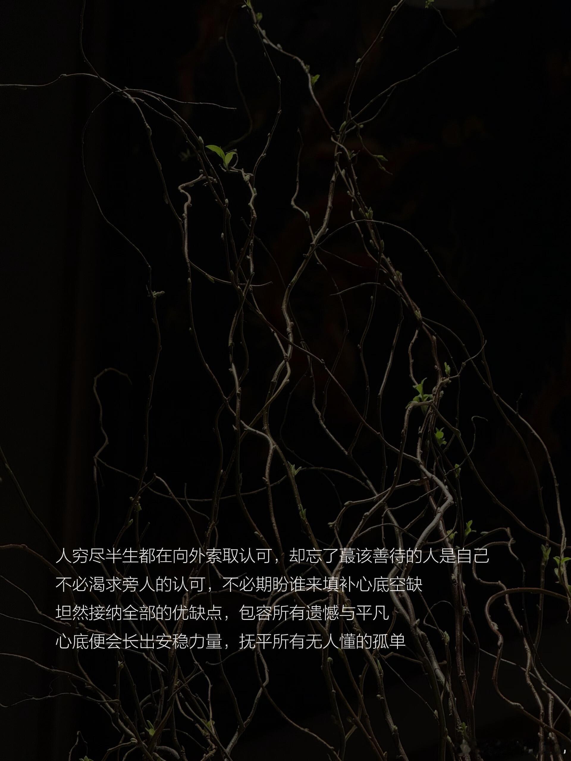 “你是山，才会遇见山”！唯有把自身沉淀成沉稳山峦，方能与同频的山川遥遥相逢。低处