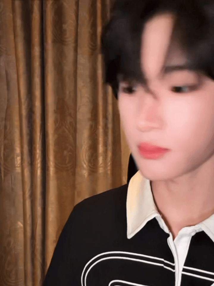 狗 