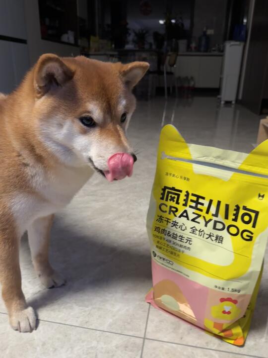 边吃边流口水的修勾🤤