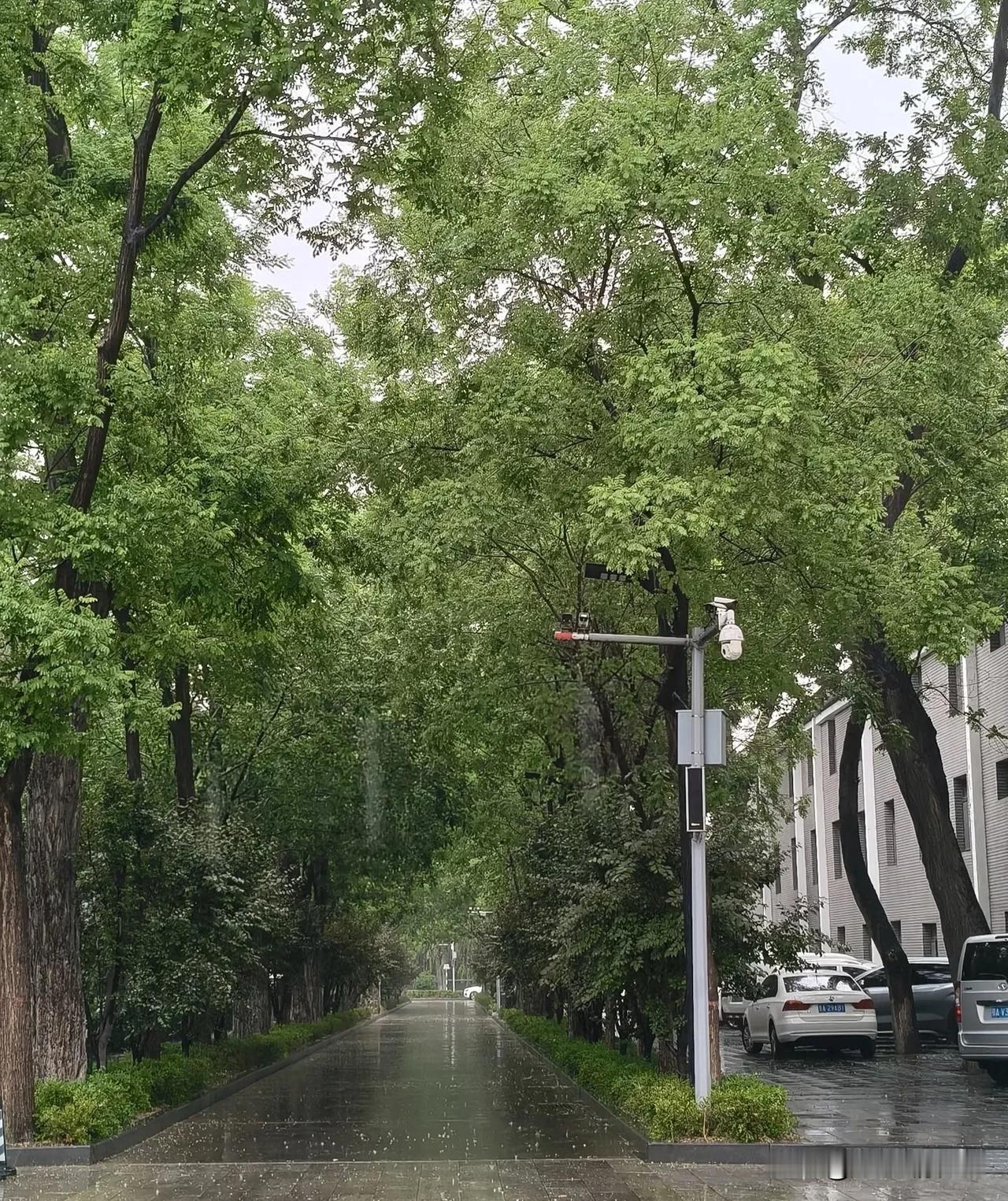 《清平乐》
江南暑浅，烟雨垂帘卷。抛却营营尘事远，静对一川柔苑。
浮生何苦奔忙，