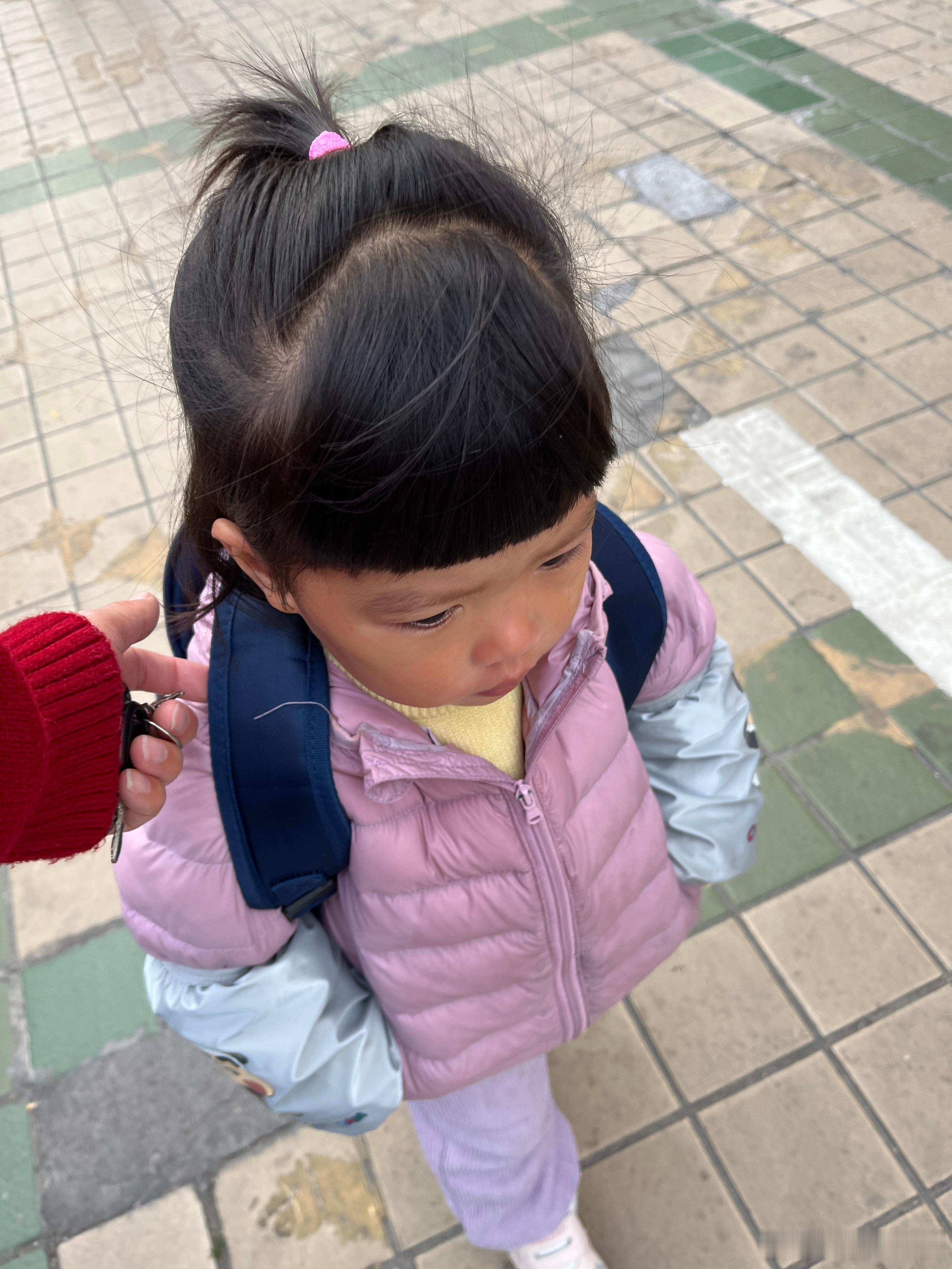 今天很冷，又进入冬天，早上11度，我昨晚给她修剪的头发，好像短了一点。前两天老板