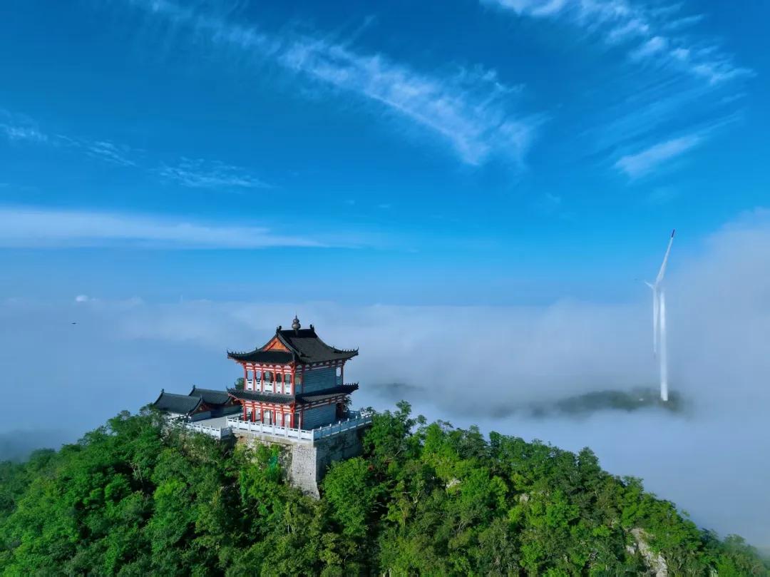 荆门上半年财政表现来了！

2026年上半年荆门实现一般公共预算收入87.75亿