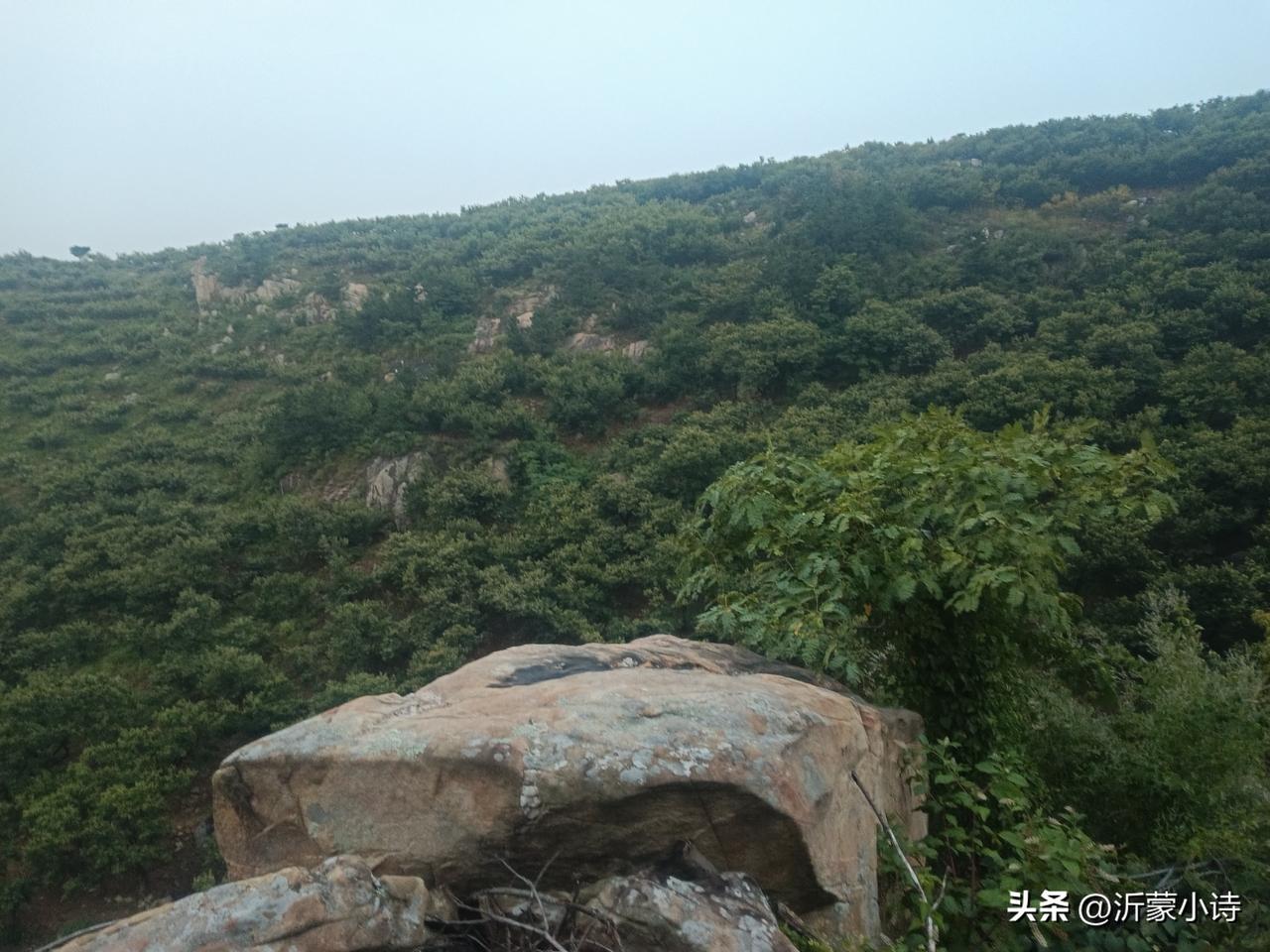 高纪明(山东)
自嘲
欲和李白比诗才，兴起心头写不来。
有意从今藏笔墨，奈何无处