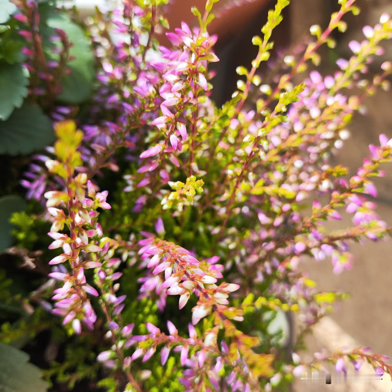 知足常乐！

跟朋友们吃饭聊天，我们说的最多的就是这句话！

都是上有老下有小，