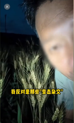 快评丨超200万粉丝网红诋毁袁隆平成果,农业科普容不得哗众取宠