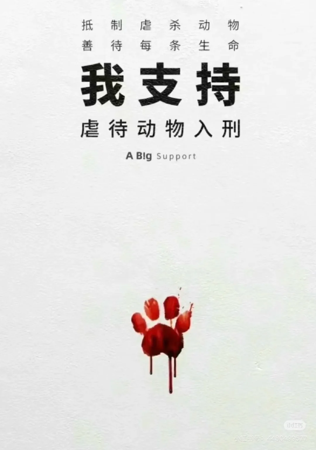 领养代替购买～🩸