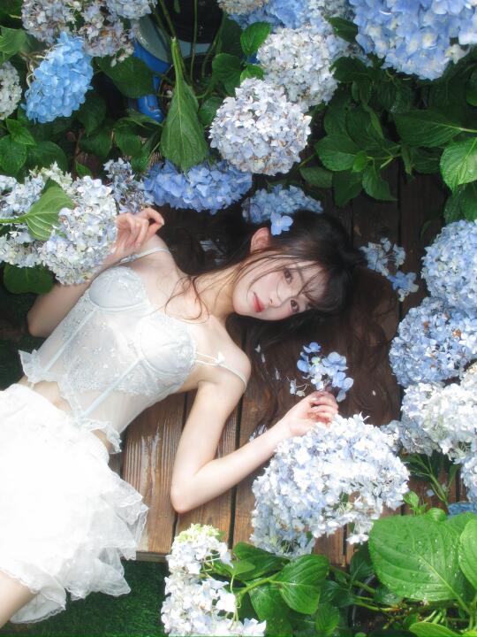无尽夏拍照｜或许绣球是夏日入侵的隐喻🫧✨