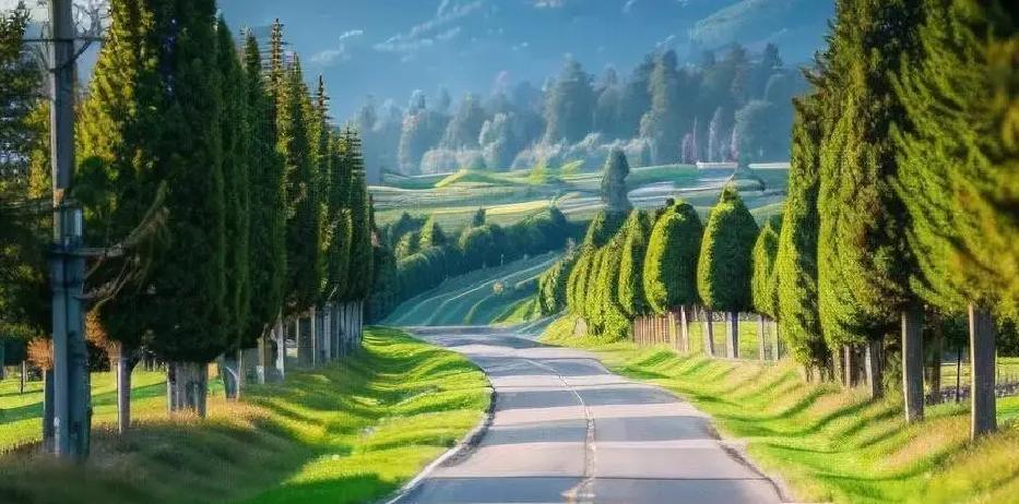 进入中年，许多人一边操持家务，一边埋头职场，日子像拉紧的弓弦，总有那么一刻喘不过