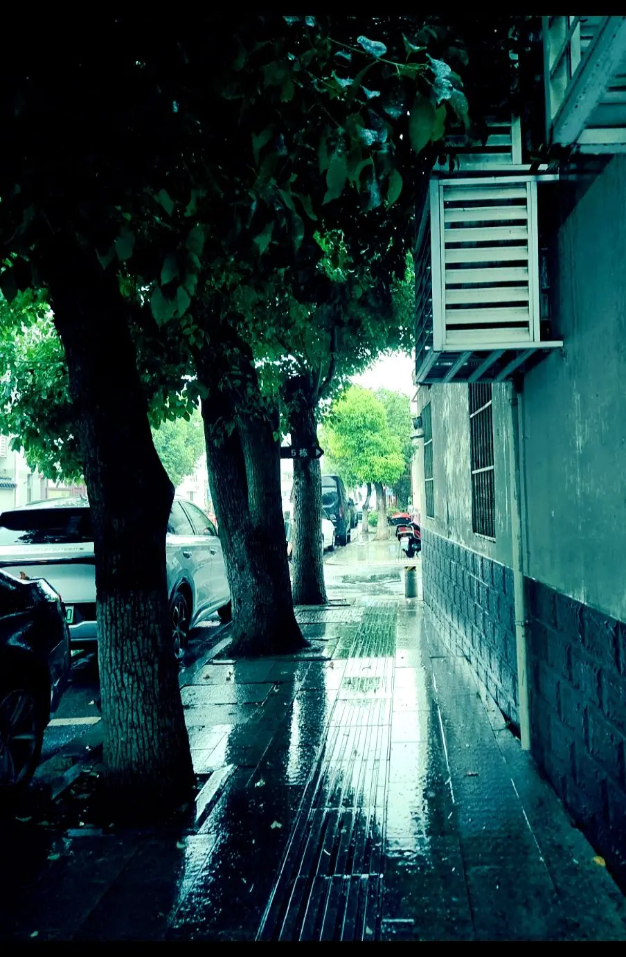 “大雨总是淋湿没带伞的人，生活也总是为难没背景的人。听，这是世界在给成...