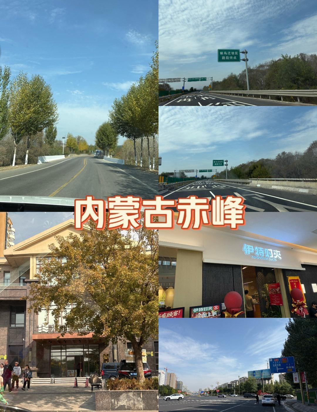 秋天🍂去内蒙古赤峰是最好的选择，可以看落叶🍂和秋景，温度不冷不热，完美体验。