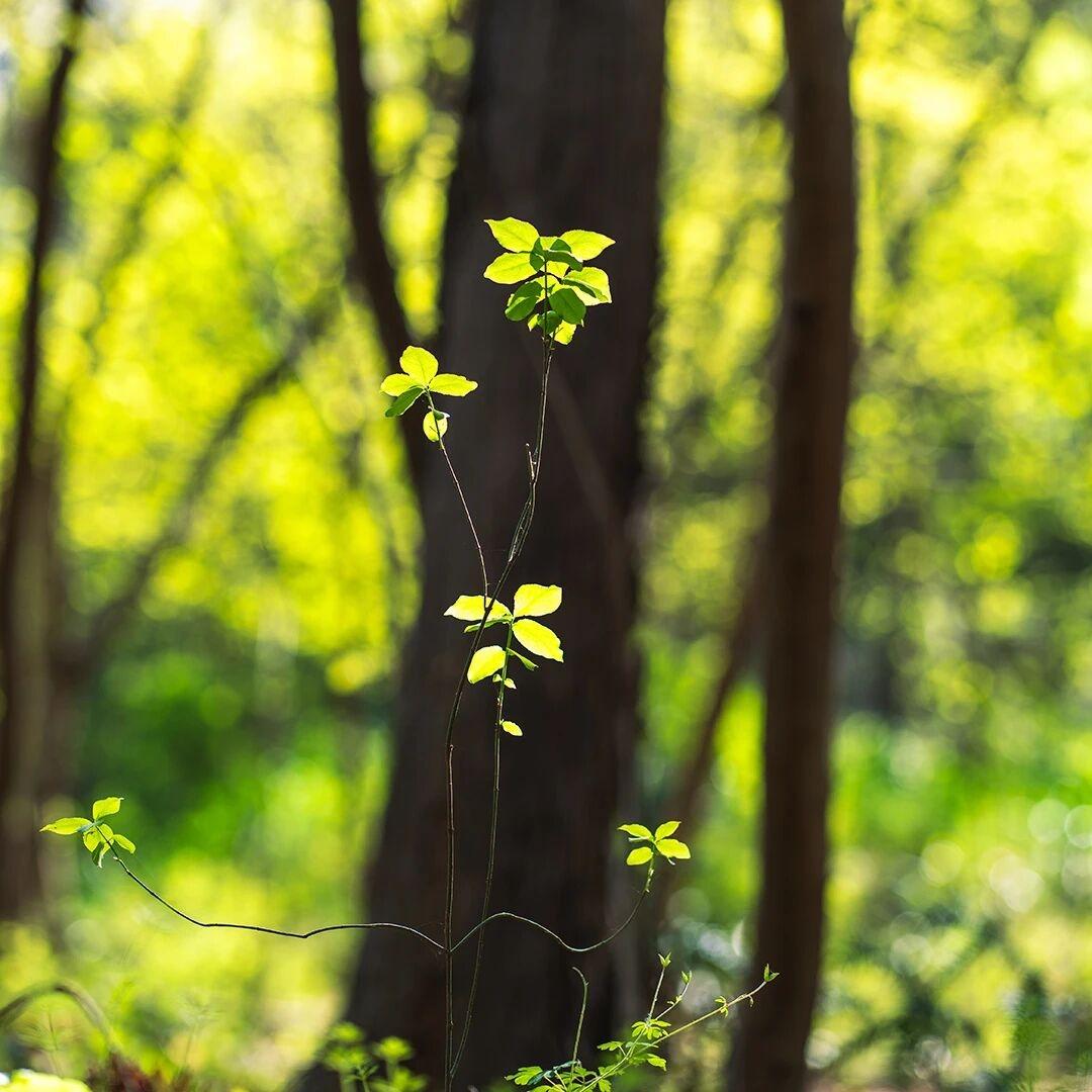 人追求的养生是什么? 
先爱自己，再爱世界

别总把最好的留给别人，把最差的留给