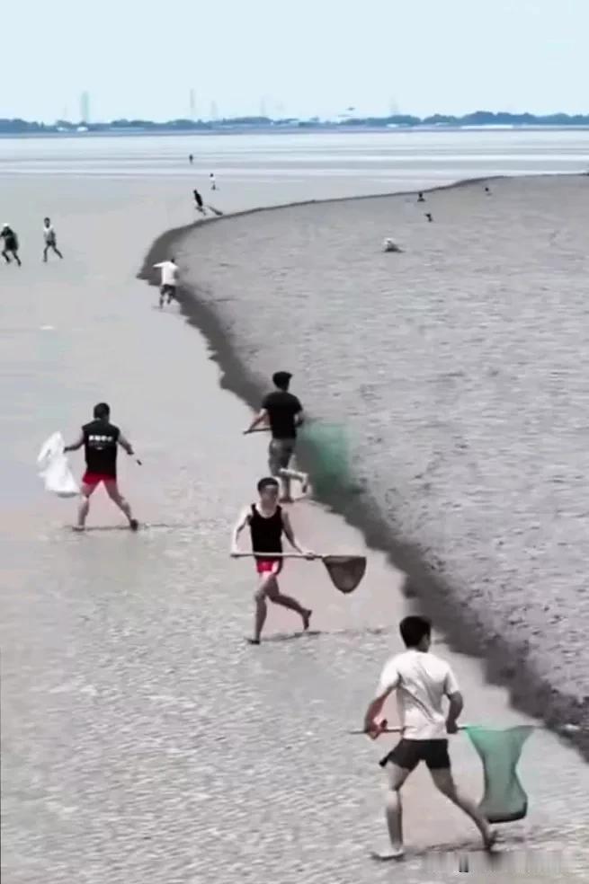 “小时候，妈妈对我讲大海就是我故乡，海边出生、海里成长，大海啊大海，是我生活的地