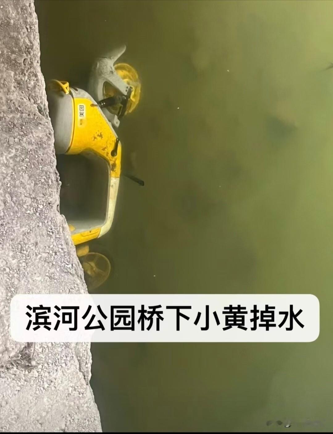 夏日生活打卡季洪洞滨河公园桥下，一辆共享小黄车惨遭恶意投入汾河，正浸泡在浑浊的河